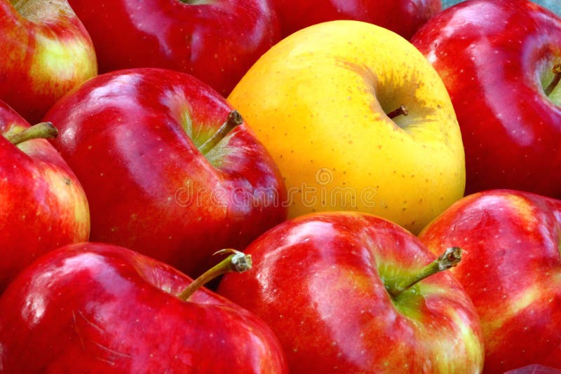 Apples