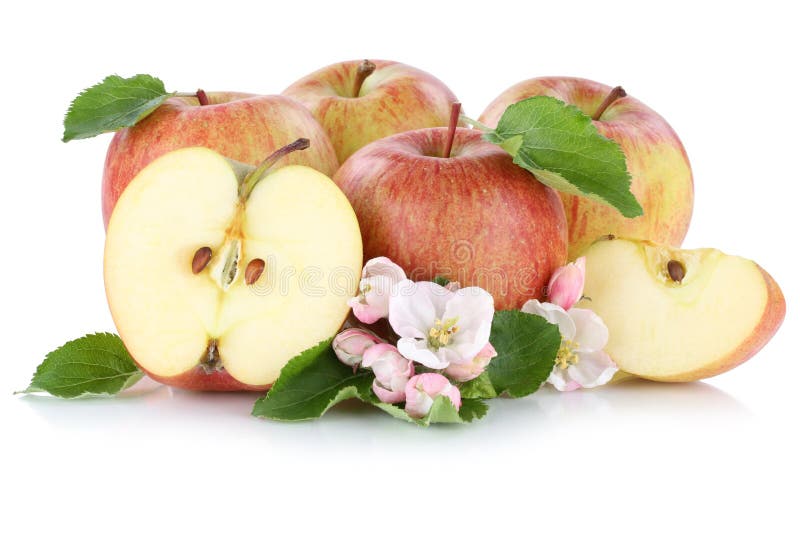 103 Apple Fruit Apples Fruits Sliced Slice Half Isolated White Stock