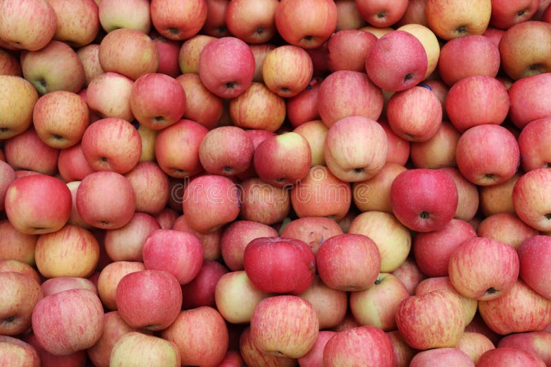Apples Backgrounds. Lots of Apples in a Fruit Shop Stock Photo Image