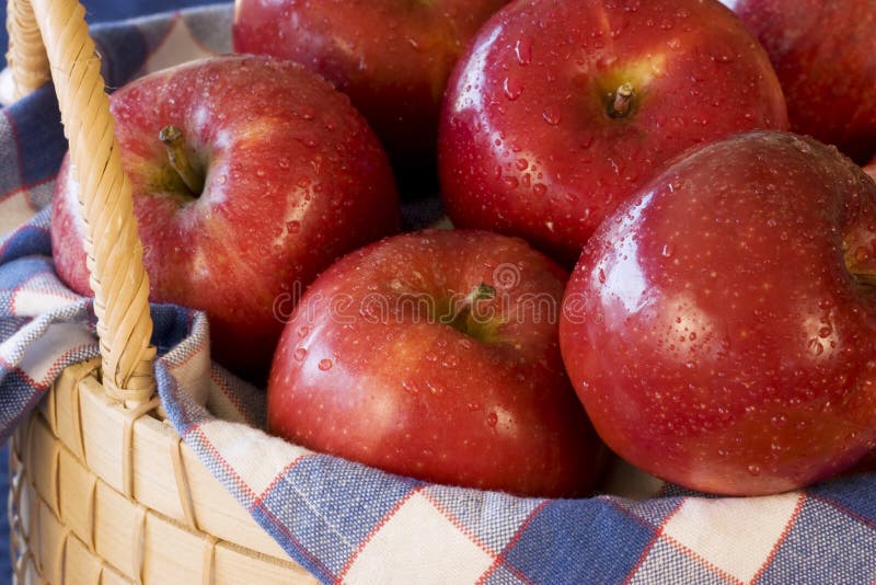 Apples in Basket - horizontal