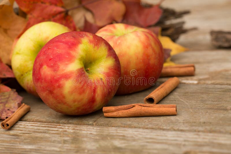 Apples, Cinnamon Sticks and Fall Leaves Stock Image - Image of withered ...