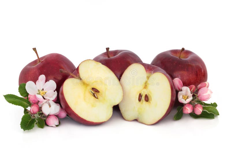 Apples in a Bag stock photo. Image of health, groceries 23316364