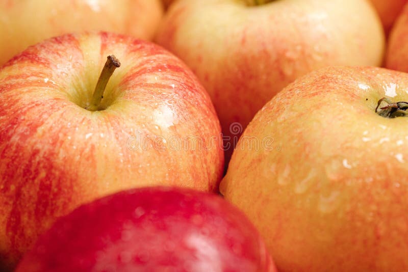 Apples Fruit. Closeup of Several Beautiful Fresh Red Apples Stock