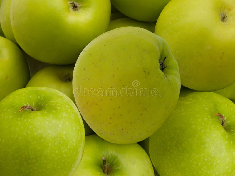 Apples green royalty free stock photos