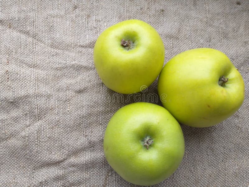 Apples green summer garden, background stock images
