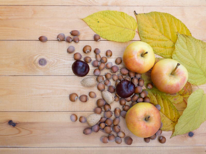 Apples, hazelnuts, chestnut, almonds and fall leaves stock image