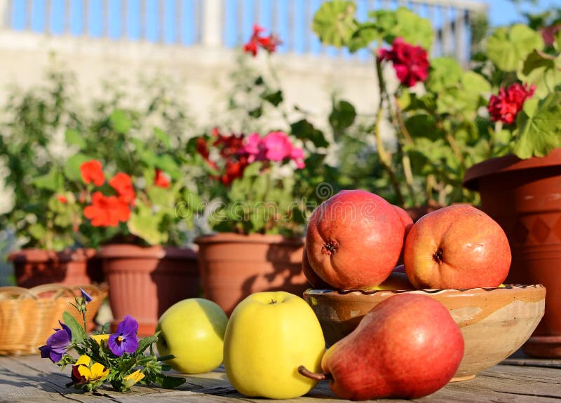 Apples and pears stock image. Image of apple, vitamin 19694303