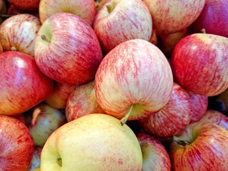 Apples for sale stock image. Image of flavor, edible 95932079