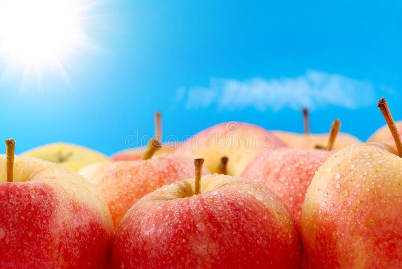 Apples on sky background stock image. Image of nature 7098591