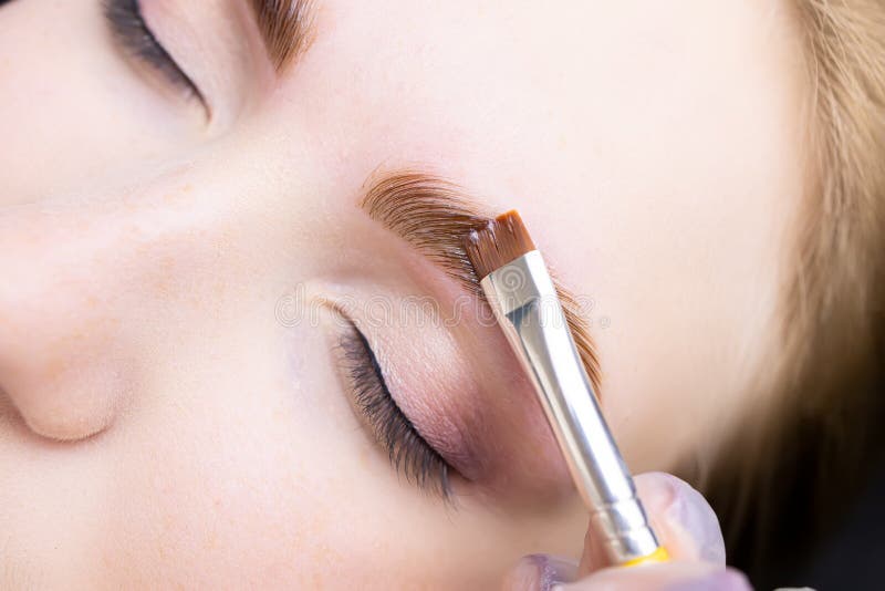 Applying Hair Dye To the Eyebrows of the Model Stock Photo Image of