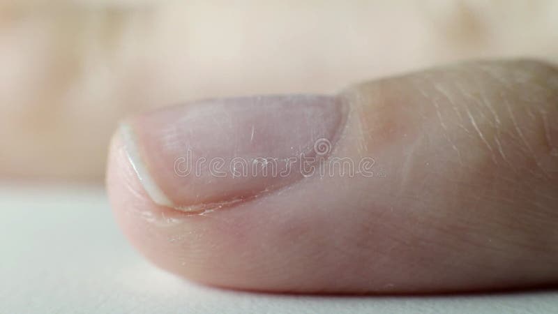 Applying a primer to the nails to degrease the nail, macro, professional. Degrease video