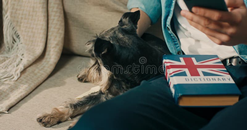 Apprendre le vocabulaire anglais mots d'un jeune adolescent. il utilise une application d'apprentissage de la langue. utilise un d banque de vidéos