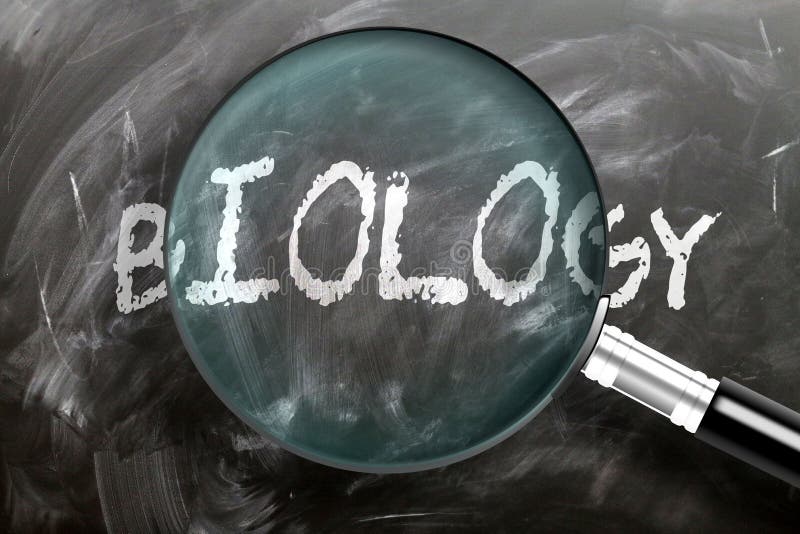 Apprendre, étudier et inspecter la biologie - représenté comme une loupe élargissant le mot biologie, symbolise la recherche, l'e photo libre de droits Apprendre, étudier et inspecter la biologie - représenté comme une loupe élargissant le mot biologie, symbolise la recherche, l'e photo libre de droits