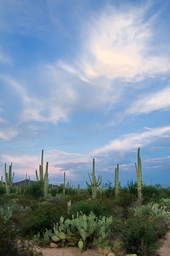 Approaching Monsoon Storm stock photography