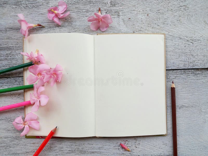 apra il fiore rosa della matita e del diario su fondo di legno fotografie stock apra il fiore rosa della matita e del diario su fondo di legno fotografie stock