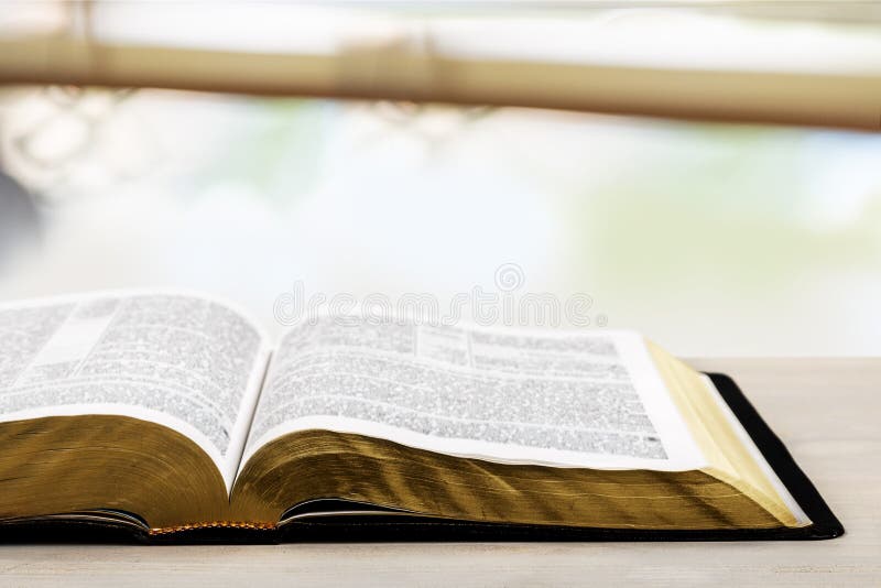 Apra il libro della bibbia santa su fondo leggero immagini stock libere da diritti Apra il libro della bibbia santa su fondo leggero immagini stock libere da diritti
