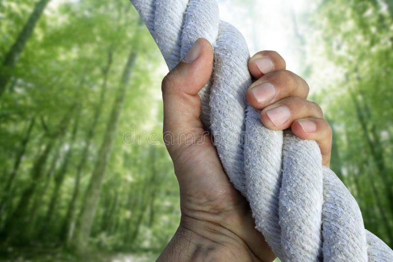 Apretón del gancho agarrador de la mano del hombre que sube la cuerda verde del bosque fotografía de archivo Apretón del gancho agarrador de la mano del hombre que sube la cuerda verde del bosque fotografía de archivo