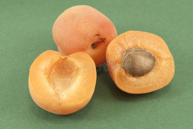 Apricot