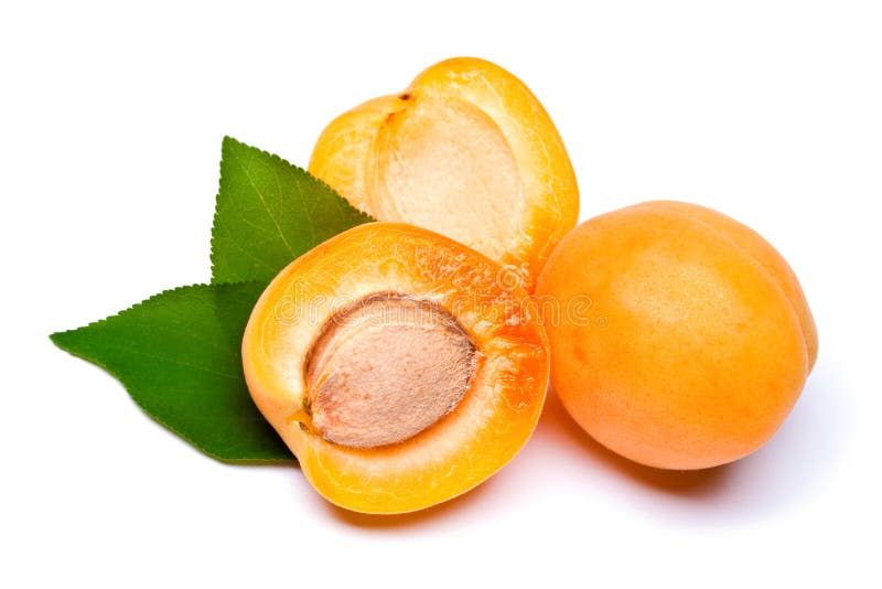 Apricot