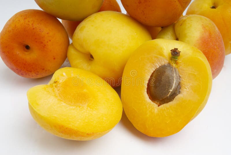 Apricot