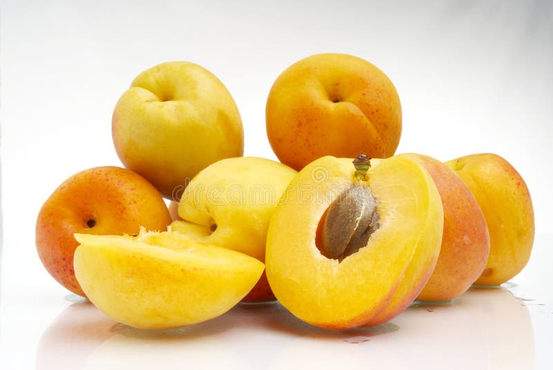 Apricot