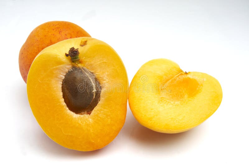 Apricot