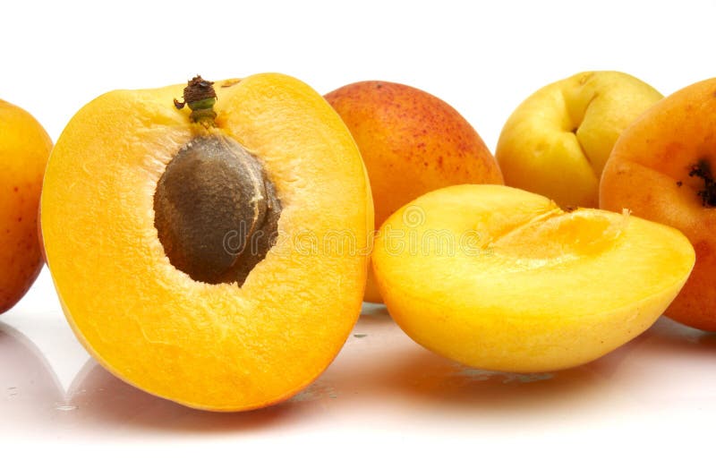 Apricot