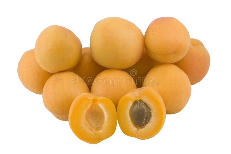 Apricot