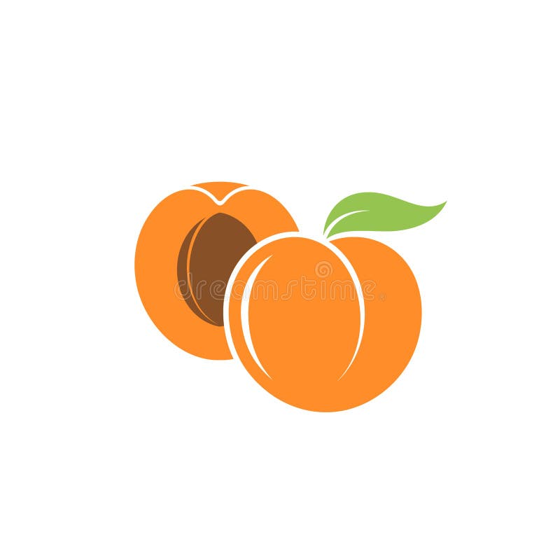 Apricot Logo Template. Outline Style Stock Vector Illustration of