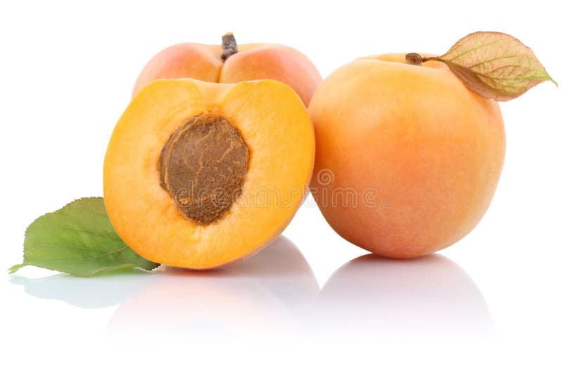 Apricot Apricots Fruit Fruits Isolated on White Stock Photo Image of