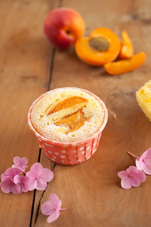 Apricot cupcakes stock image