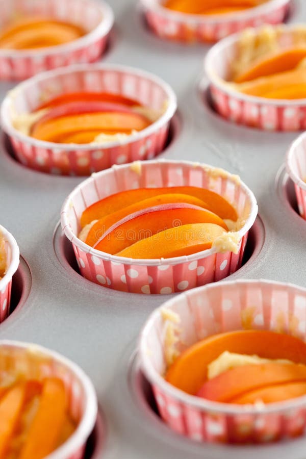 Apricot cupcakes ready to be baked royalty free stock photo