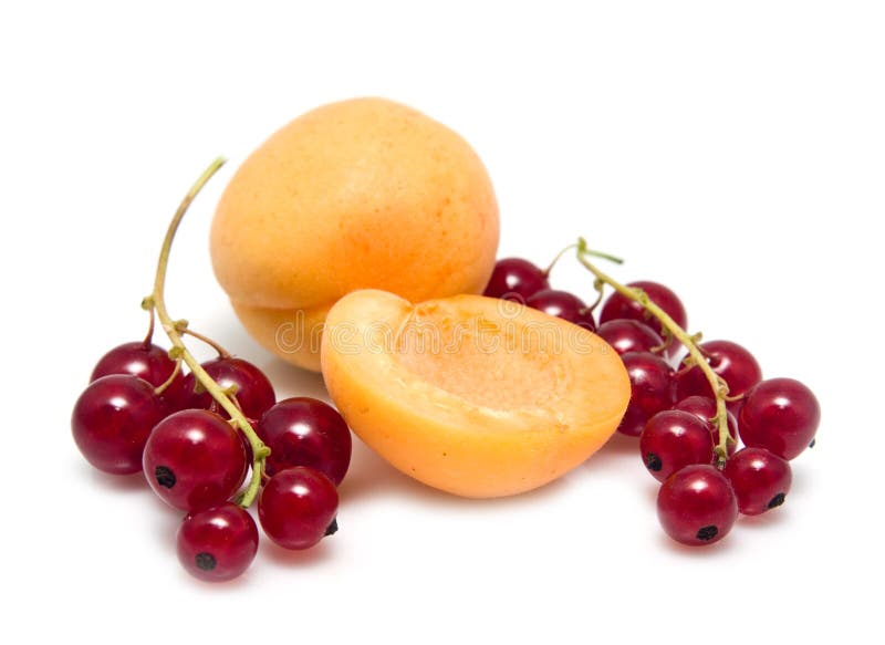 Apricot and currant