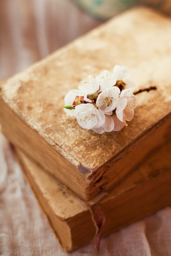 Apricot flowers on books