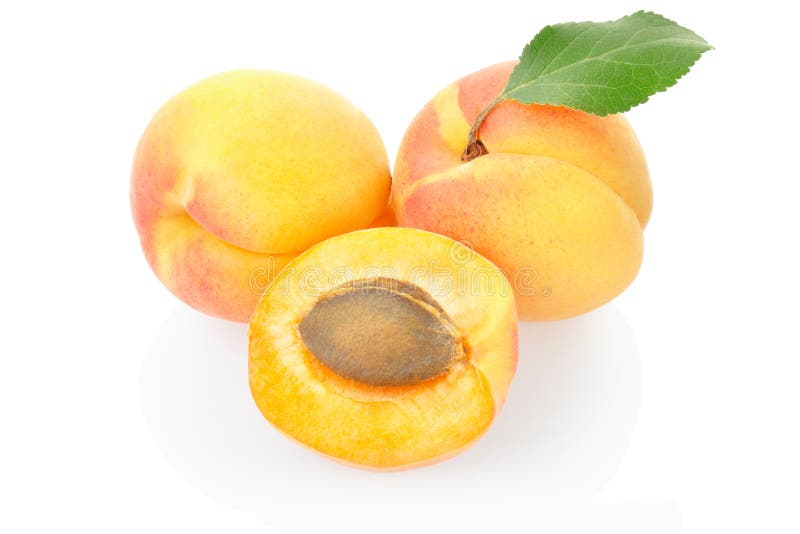 Apricot fruit stock photo. Image of aroma, diet, color 21689438