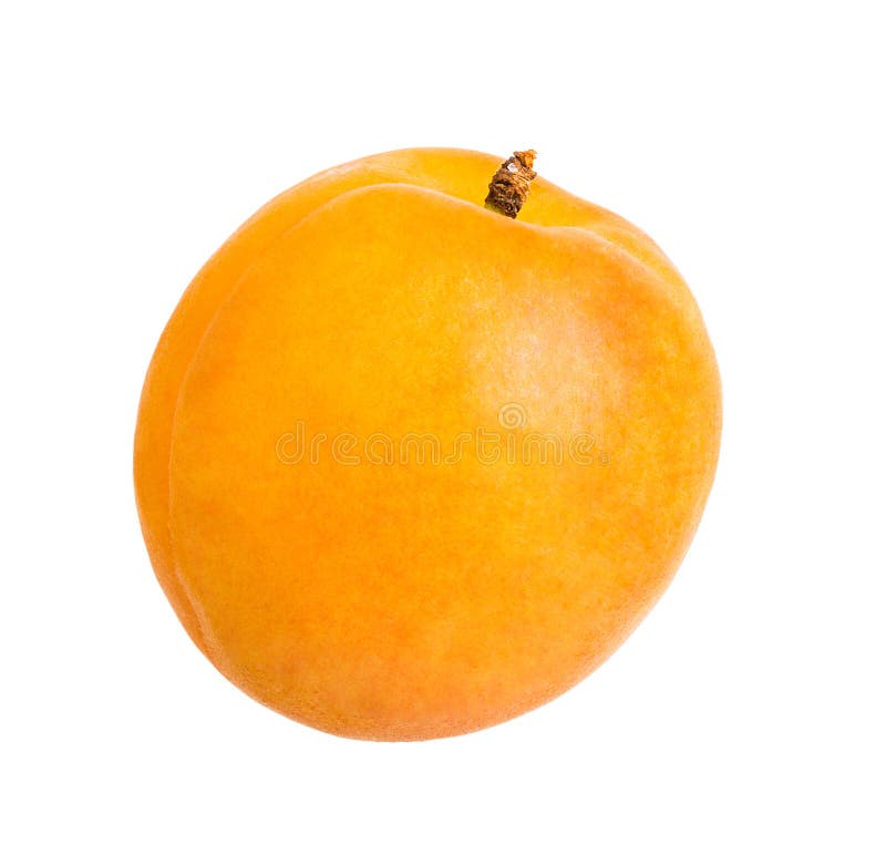 Apricot fruit