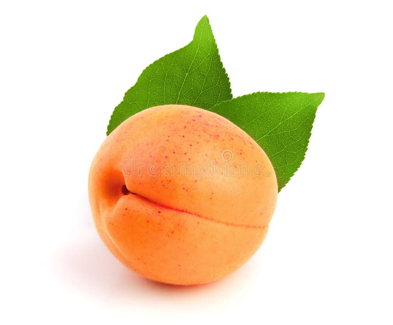 Apricot Fruit with Leaves Isolated on White Background Macro Stock