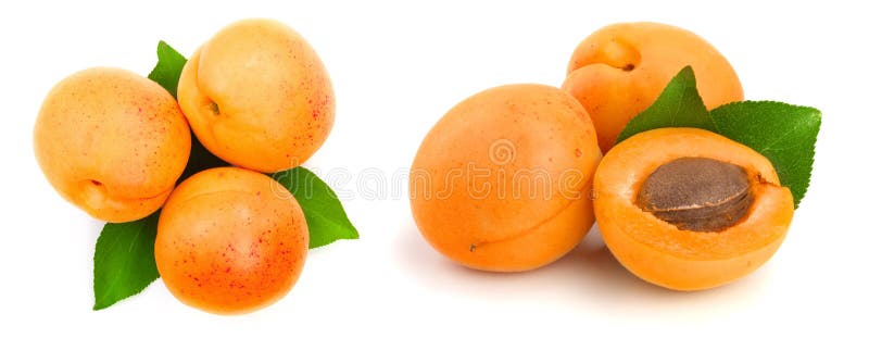 Apricot Fruit with Leaves Isolated on White Background,Top View. Flat