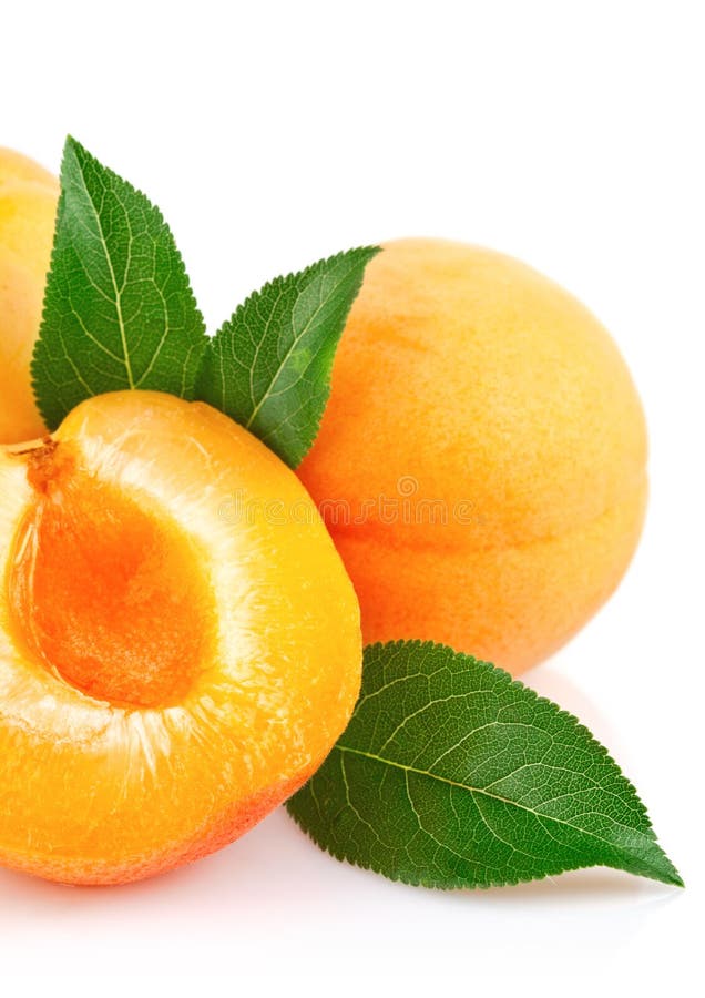 Apricot Fruits with Green Leaf Stock Image Image of meal, nutrition 19937243