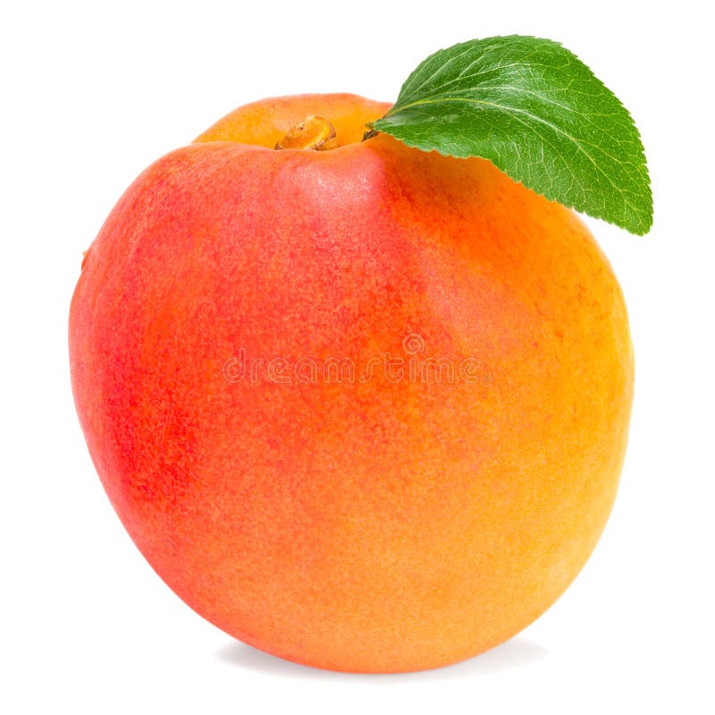 Apricot Fruits with Slices and Green Leaf Isolated on White Background