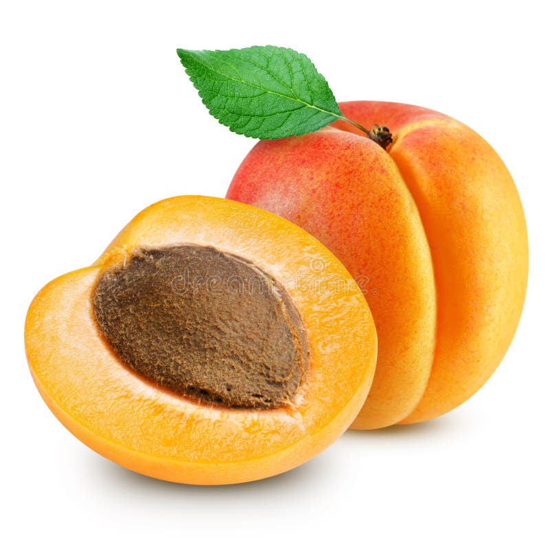 Apricot fruits stock image. Image of health, fruity, calorie 22192137