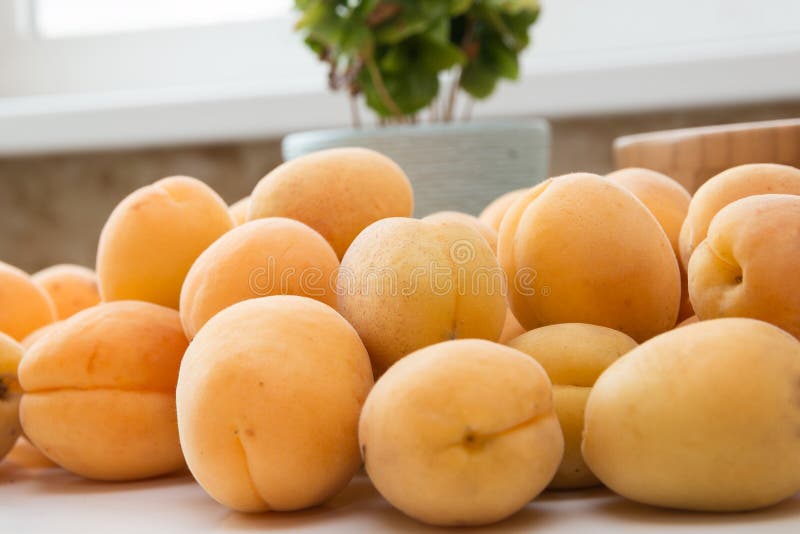 Apricot. Group of Fresh Fruits Stock Image Image of closeup, dessert