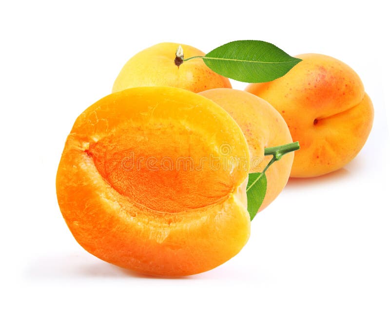 Apricot Fruit With Leaf Isolated Stock Photo Image of juicy