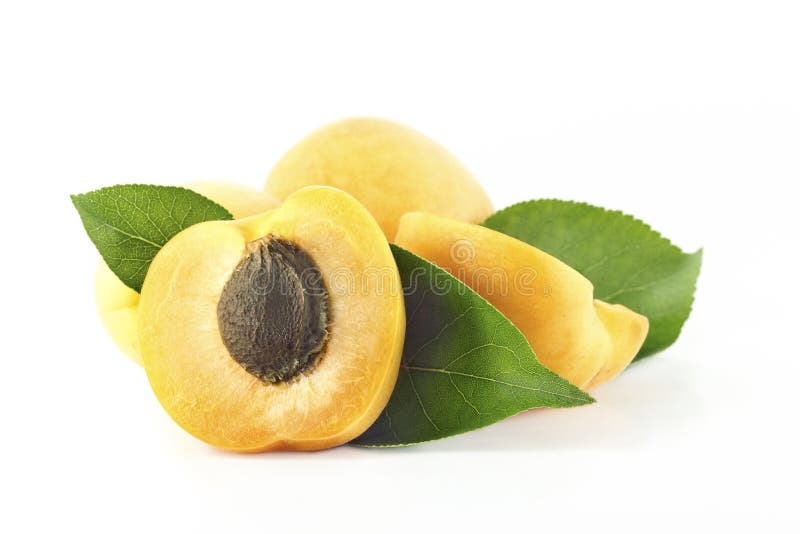 Peach Fruits Tree with Leafs Stock Image Image of dieting, organic