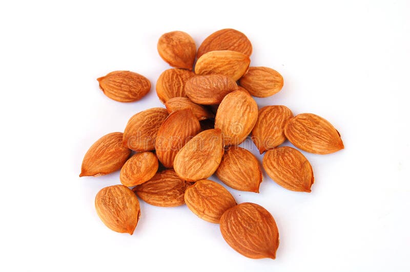 Apricot pit , almond stock photo. Image of snack, healthy 10484690