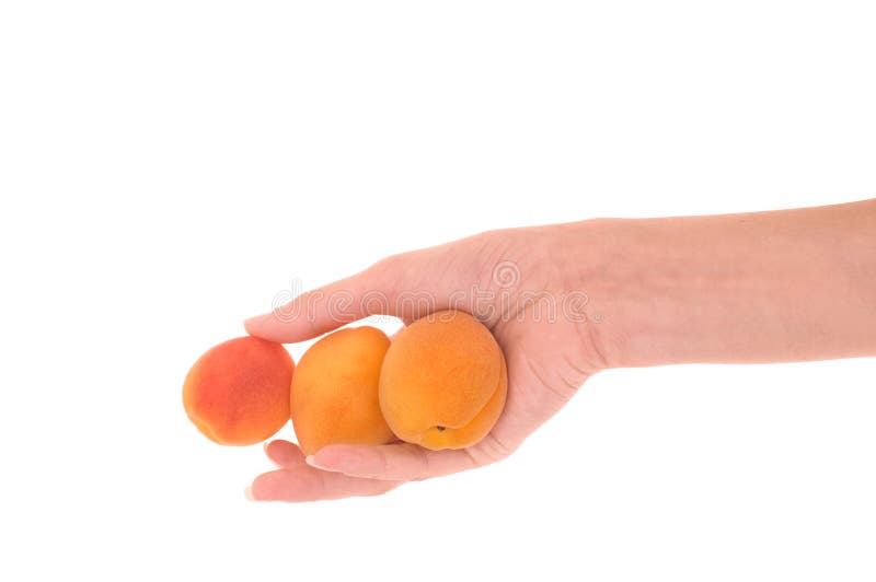 Apricots