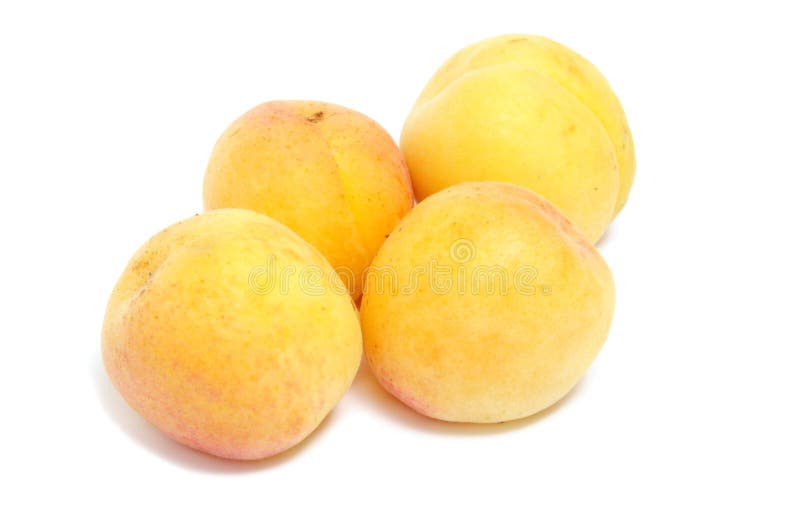 Apricots stock image. Image of apricot, purity, whiteness 7063
