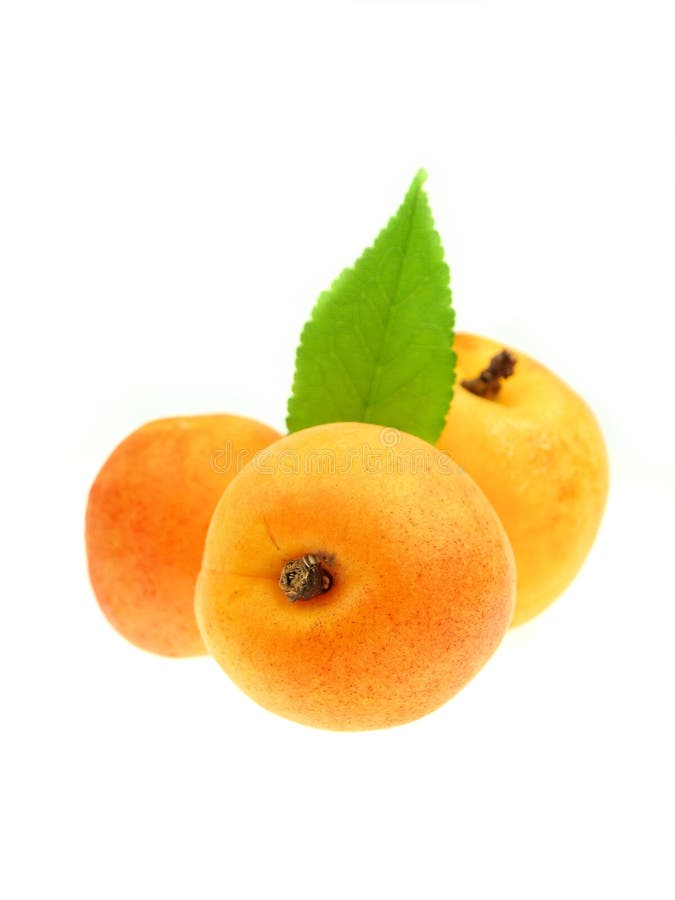 Apricots