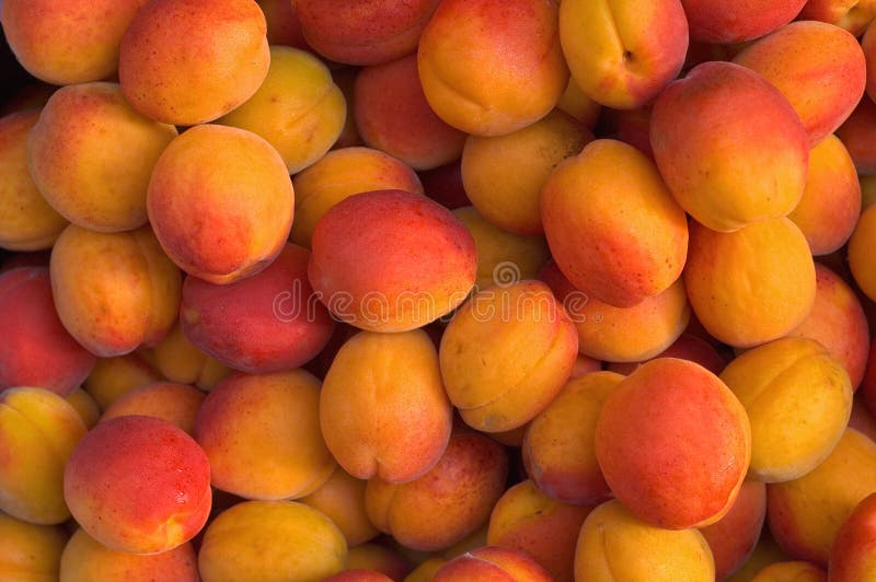 Apricots