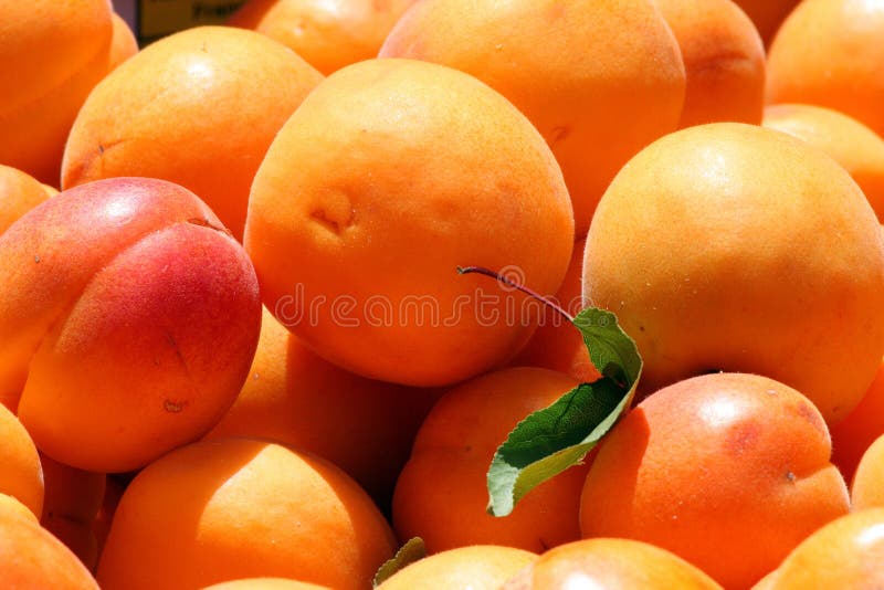 Apricot stock image. Image of macro, fruits, fresh, background 25085589